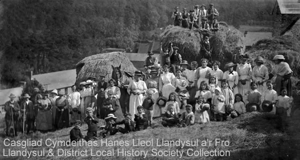 Haymaking in Llandysul