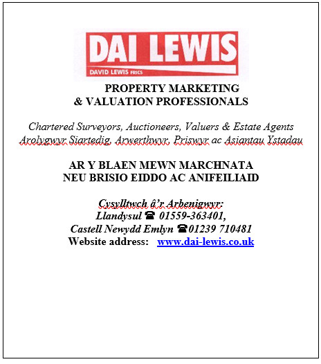 Dai Lewis: property marketing and valuation professionals.