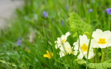 March